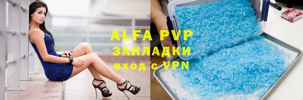 ПСИЛОЦИБИНОВЫЕ ГРИБЫ Ельня