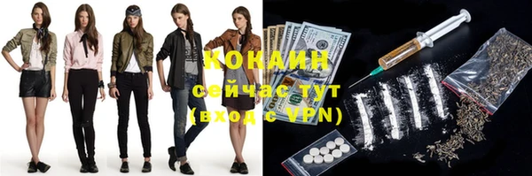 ПСИЛОЦИБИНОВЫЕ ГРИБЫ Ельня