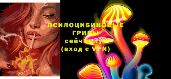 гидропоника Елизово