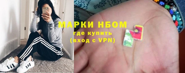 ПСИЛОЦИБИНОВЫЕ ГРИБЫ Ельня