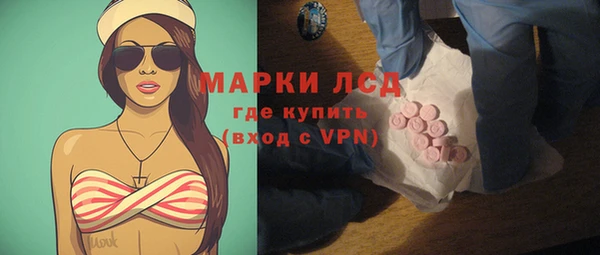 ПСИЛОЦИБИНОВЫЕ ГРИБЫ Ельня