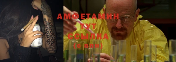 ПСИЛОЦИБИНОВЫЕ ГРИБЫ Ельня