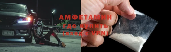 ПСИЛОЦИБИНОВЫЕ ГРИБЫ Ельня