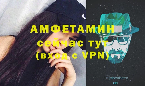ПСИЛОЦИБИНОВЫЕ ГРИБЫ Ельня