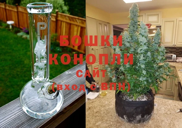гидропоника Елизово
