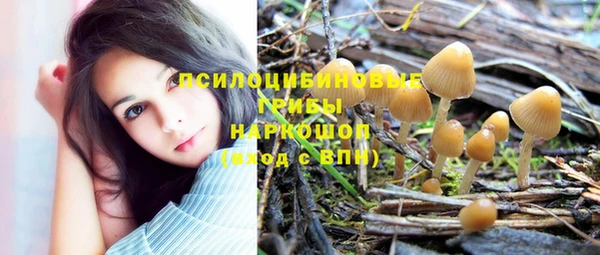 ПСИЛОЦИБИНОВЫЕ ГРИБЫ Ельня