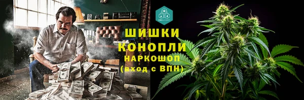 ПСИЛОЦИБИНОВЫЕ ГРИБЫ Ельня