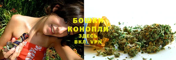 МДПВ Елабуга