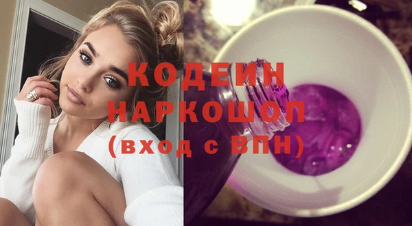 МДПВ Елабуга