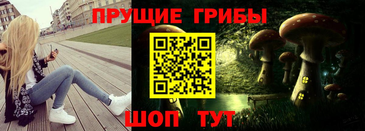 Галлюциногенные грибы MAGIC MUSHROOMS  Вход с VPN  Волгоград 