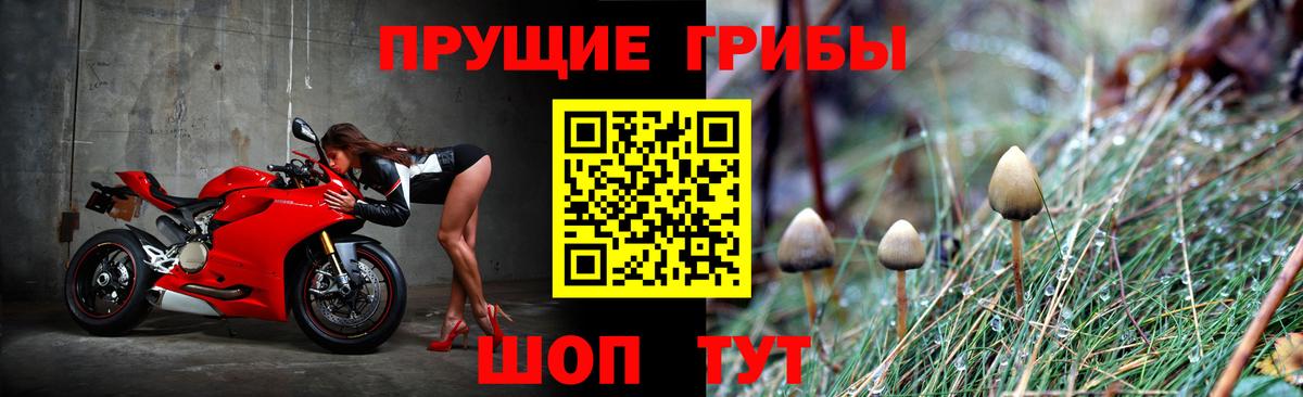 Галлюциногенные грибы ЛСД Волгоград